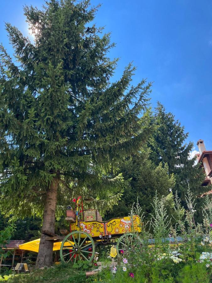 Апартамент Горска Приказка - Forest Tale Smolyan Exterior photo